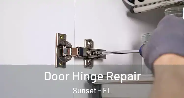 Door Hinge Repair Sunset - FL