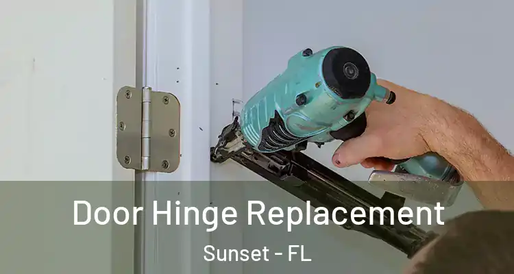 Door Hinge Replacement Sunset - FL