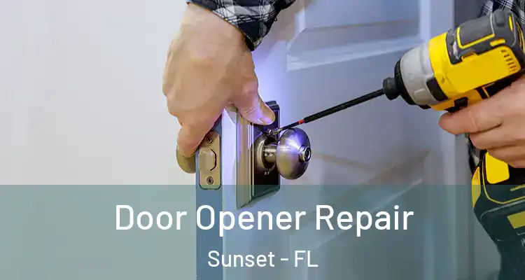  Door Opener Repair Sunset - FL