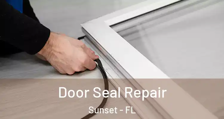 Door Seal Repair Sunset - FL