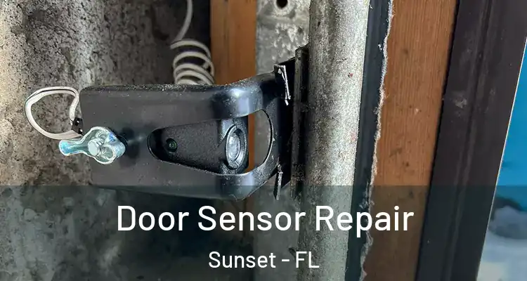  Door Sensor Repair Sunset - FL