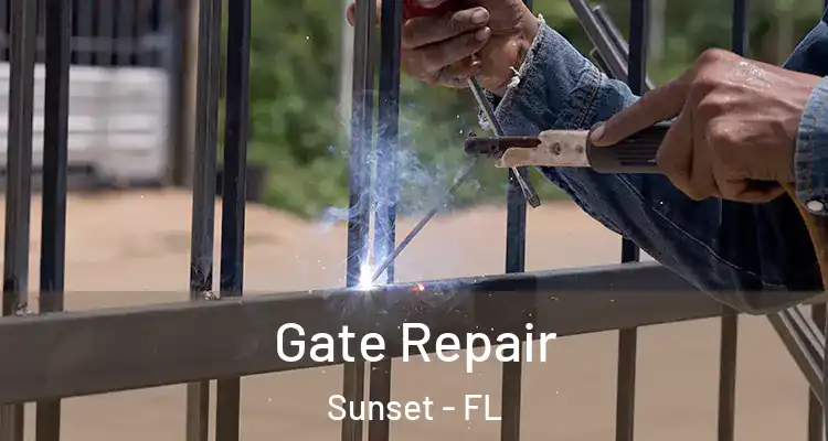 Gate Repair Sunset - FL