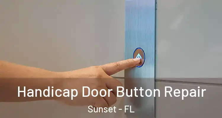  Handicap Door Button Repair Sunset - FL