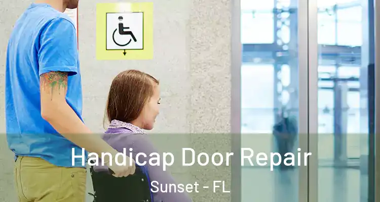  Handicap Door Repair Sunset - FL