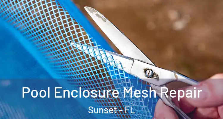  Pool Enclosure Mesh Repair Sunset - FL