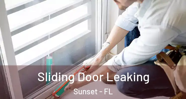  Sliding Door Leaking Sunset - FL