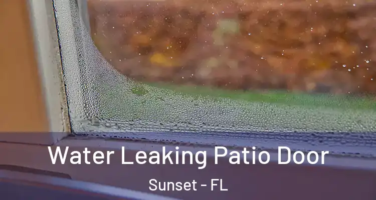Water Leaking Patio Door Sunset - FL